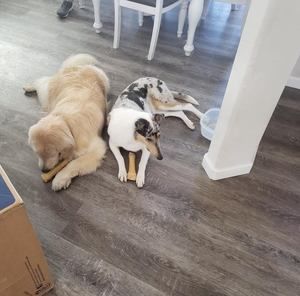 Meet your Posher, Sherry